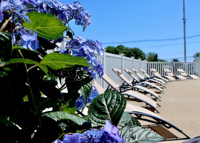 Sea View Motel